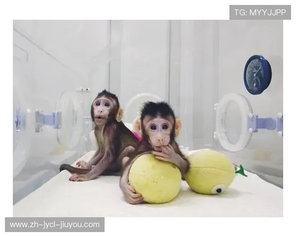 足球运动克隆人球员是否引发足球伦理与身份合法性的讨论